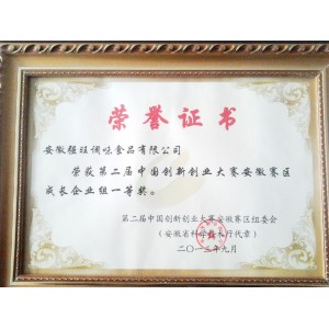 第二届中国创新创业大赛安徽赛区成长企业组一等奖